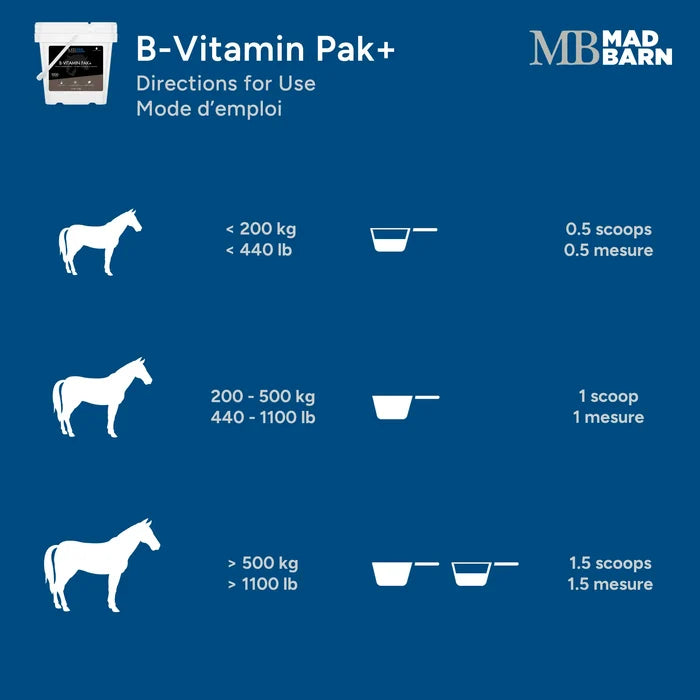B-Vitamin Pak - Full Spectrum B-Complex Supplement 🍁 MadBarn