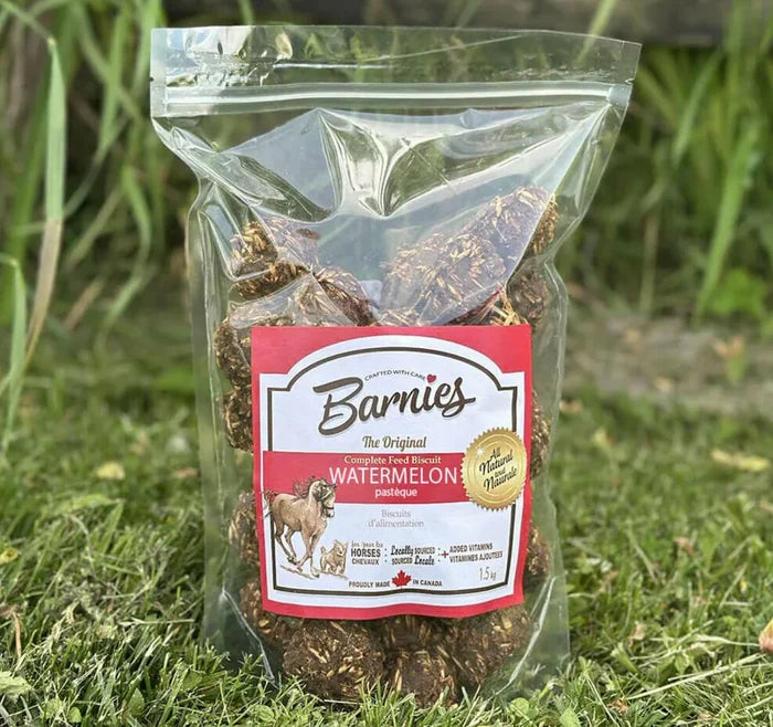 Barnies🍁Watermelon Cookies for Horses