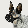 Baskerville Ultra Muzzles