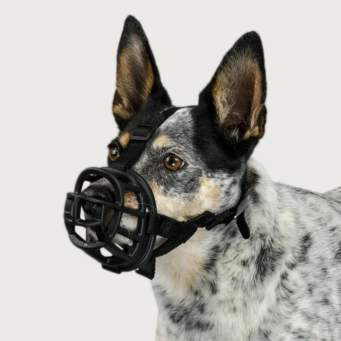 Baskerville Ultra Muzzles