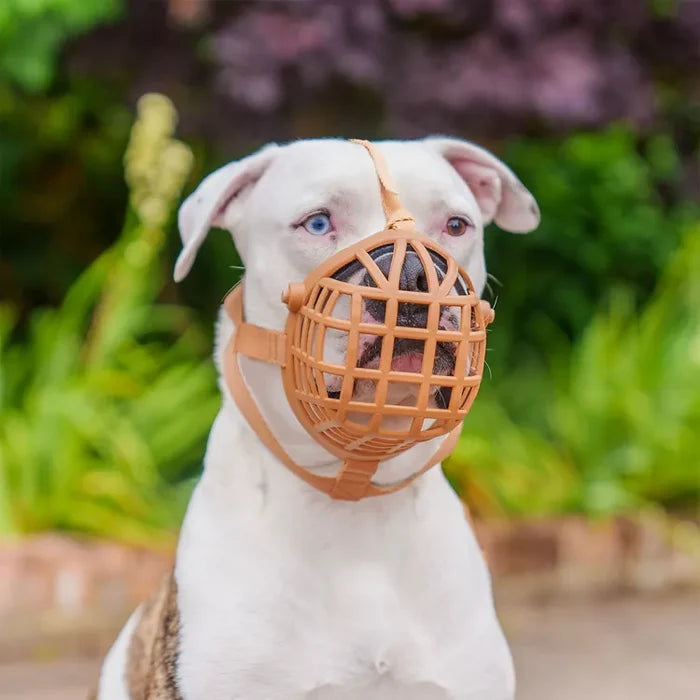 Baskerville Wide Fit Muzzle