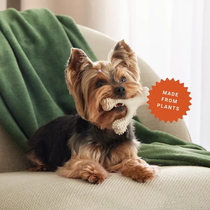 BetterBone Soft Beef Dog Chew for Soft Chewers