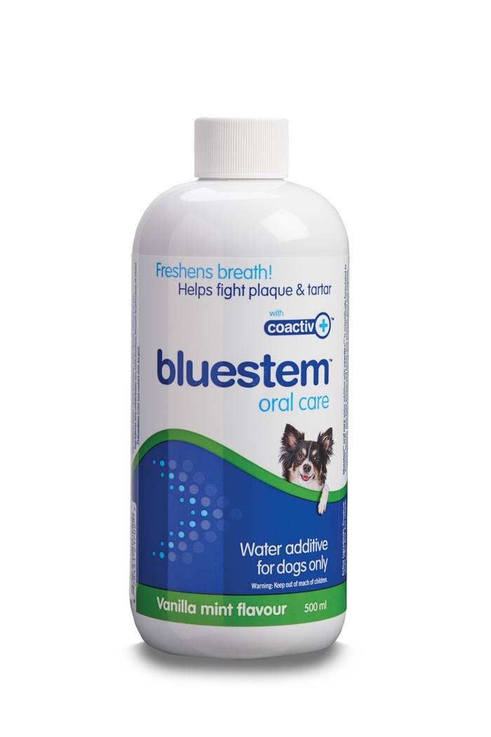 Bluestem 🍁Water Additive with Coactiv+ Mint Flavour for Dogs 500mL