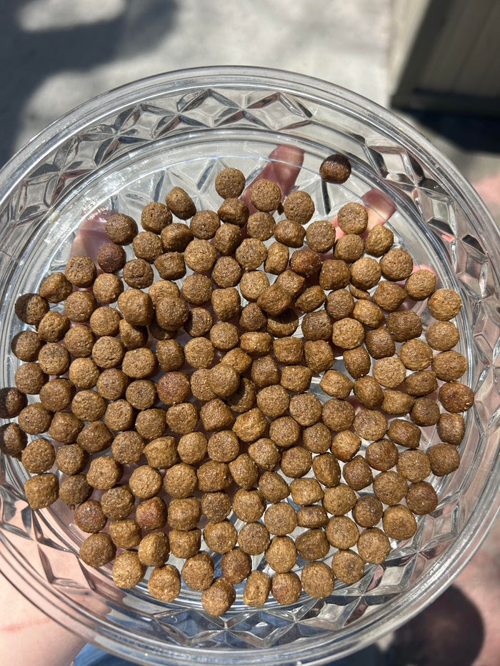 Boreal🍁Healthy Grains Freshwater Trout Dog Food
