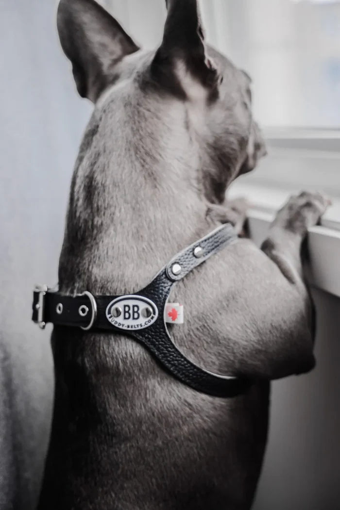 Buddy Belt🍁 Black Genuine Leather Harness