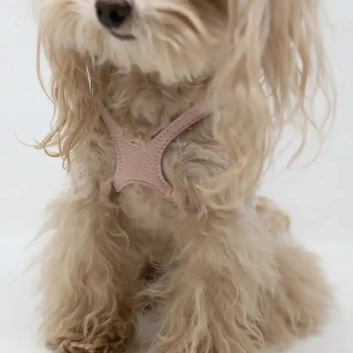 Buddy Belt🍁 Light Pink Genuine Leather Harness