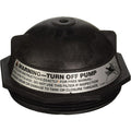Pentair Triton II 6 Buttress Thread Closure w/ O-Ring | 152519Z"