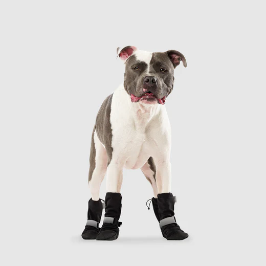 Canada Pooch 🍁 Black Reflective Soft Shield Boots for Dogs 4-Pack