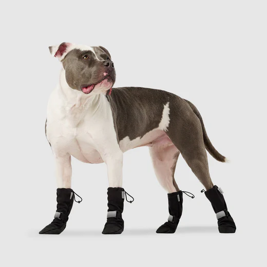 Canada Pooch 🍁 Black Reflective Soft Shield Boots for Dogs 4-Pack