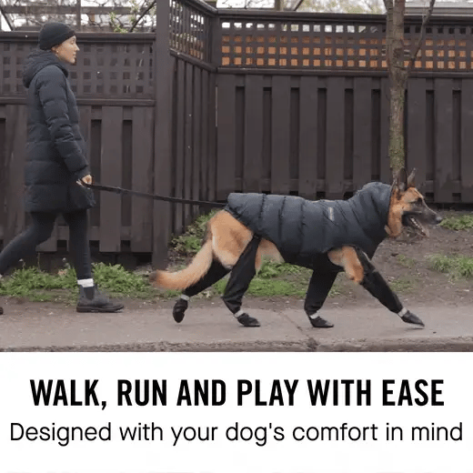 Canada Pooch Black Suspender Boots for Dogs