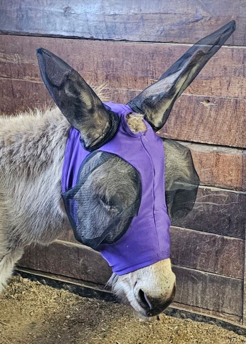 Canadian Horsewear 🍁Donkey/Mule Lycra Fly Mask