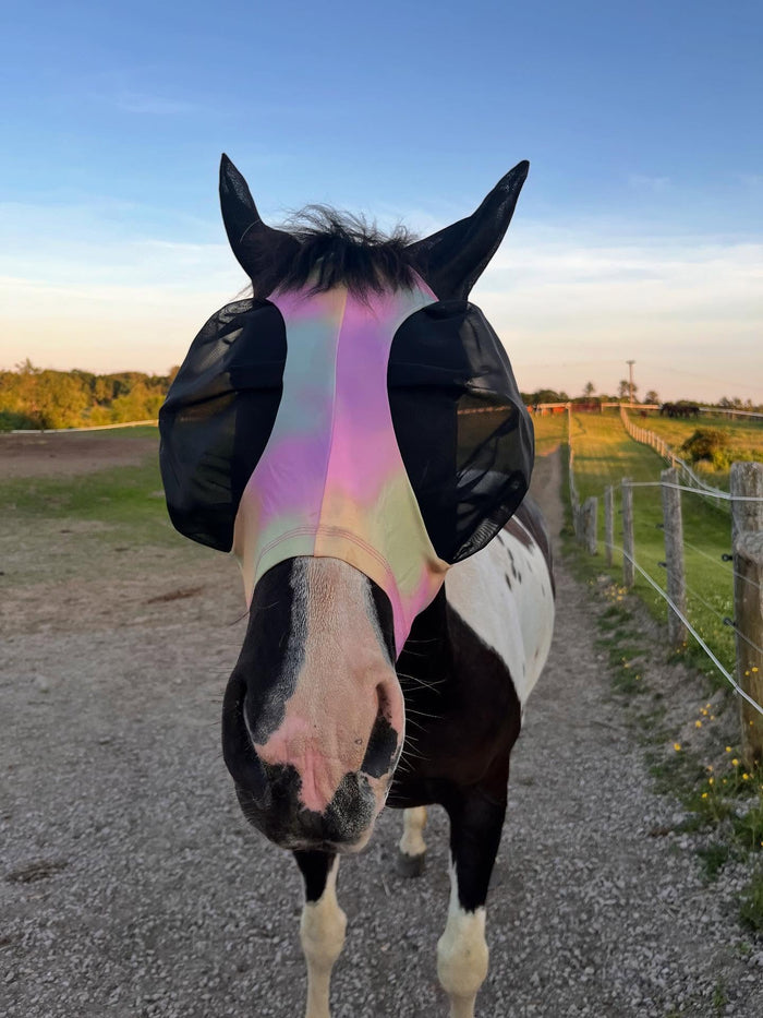 Canadian Horsewear🍁 Magic Hour Bug Eye Lycra Fly Mask