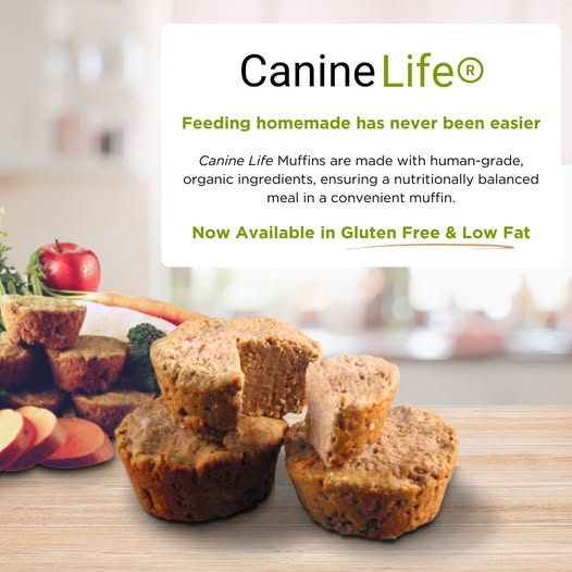 Canine Life🍁 Pollock Muffins  20 Pack