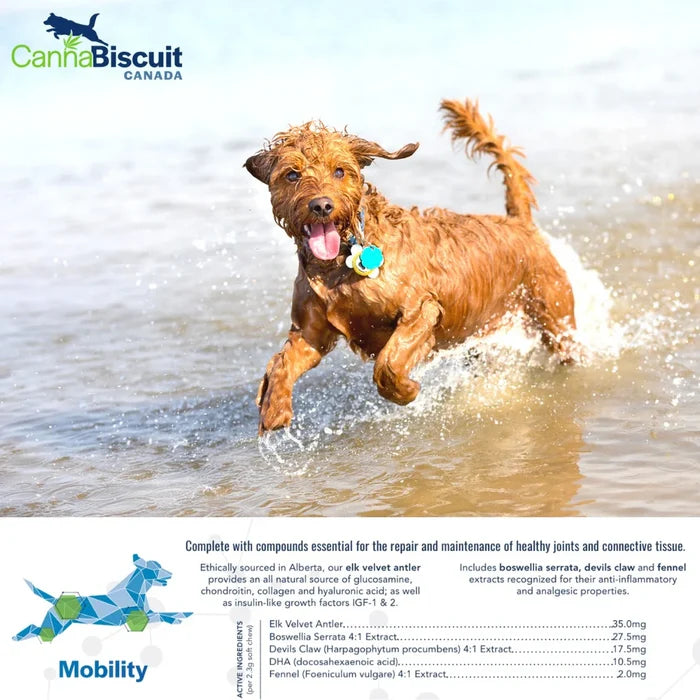CannaBiscuit 🍁Mobility with Glucosamine & Chondroitin 224g