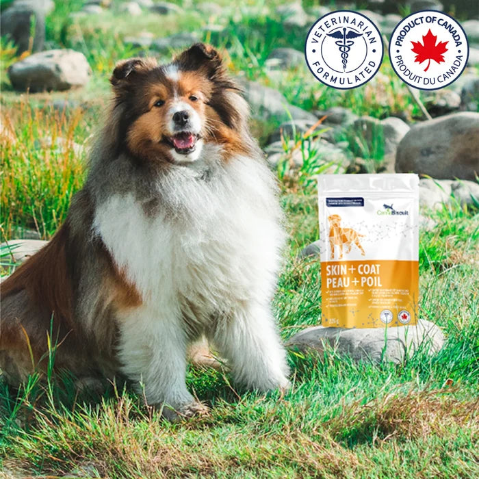 CannaBiscuit🍁 Skin & Coat with Collagen & Elastin for Dogs 224g