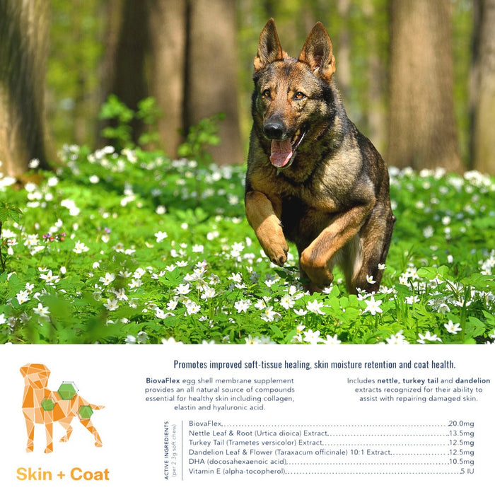 CannaBiscuit🍁 Skin & Coat with Collagen & Elastin for Dogs 224g