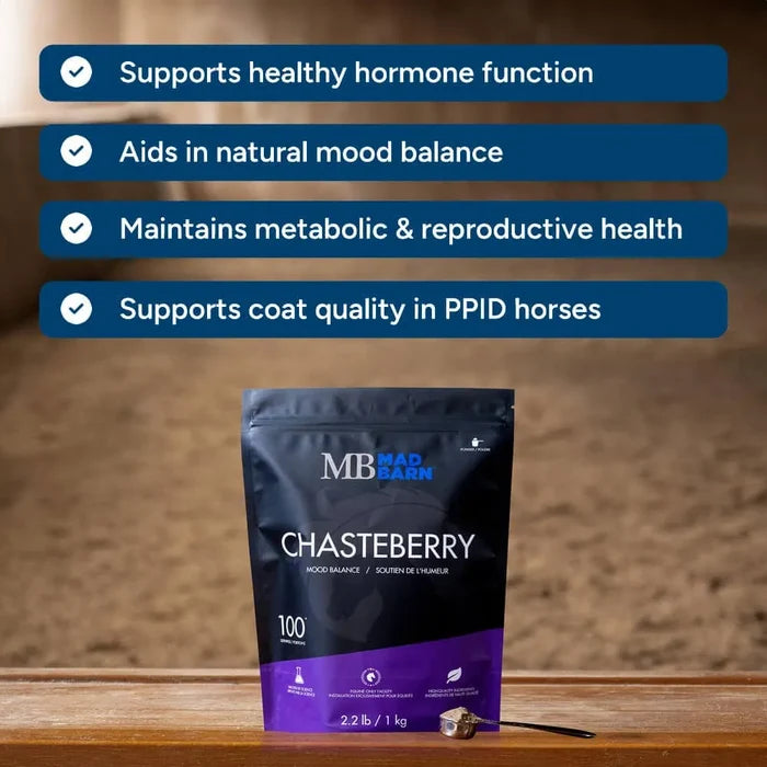 Chasteberry - Mood & Hormone Support 🍁MadBarn