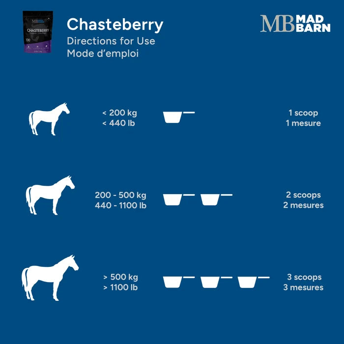 Chasteberry - Mood & Hormone Support 🍁MadBarn
