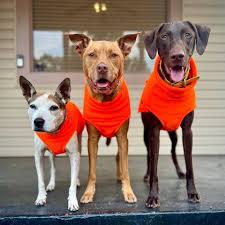 Chilly Dogs 🍁Blaze Orange Long & Lean Fleece Sweater