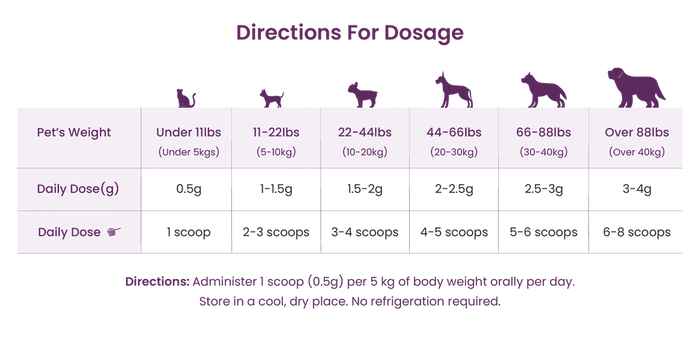 Companions Choice 🍁Pre & Probiotic Supplement
