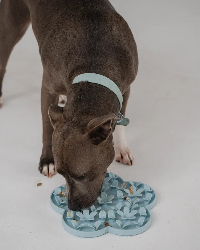 Dexypaws 🍁Blue Flower Enrichment Snuffle Mat