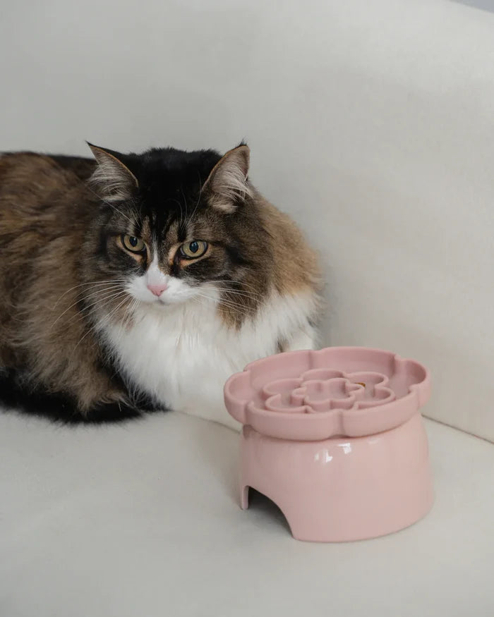 Dexypaws 🍁Blush Pink Raised Ceramic Cat Bowl with Flower Slow Feeder