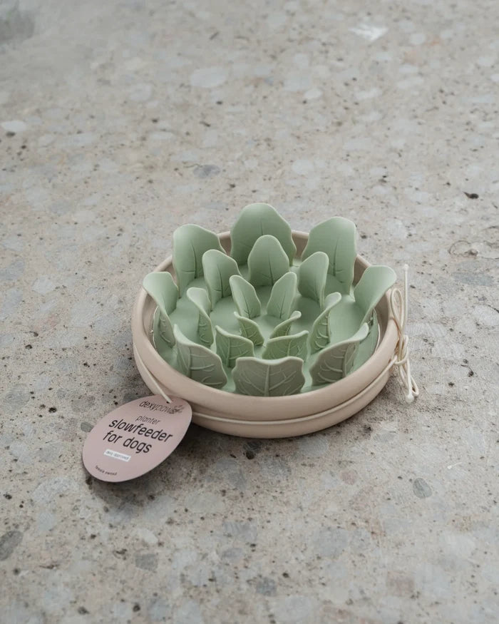 Dexypaws🍁 Planter Silicone Slow Feeder