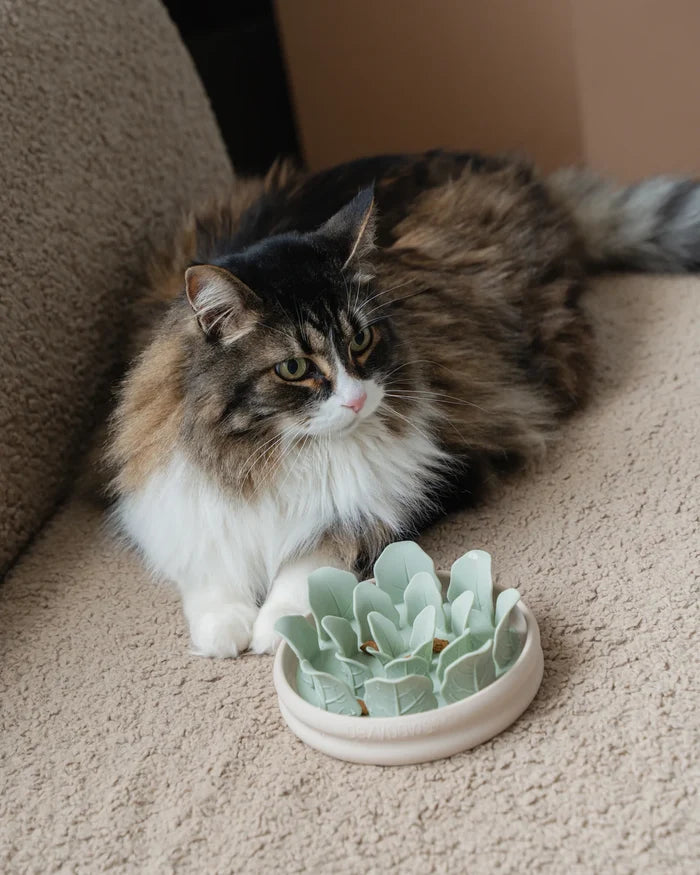 Dexypaws🍁 Planter Silicone Slow Feeder