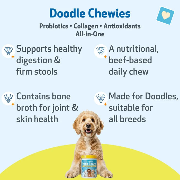 Doodle Chewies - Nutrient-Rich Soft Chews for All Breeds of Doodle Dogs