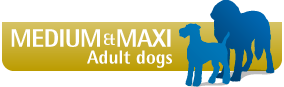 Farmina N&D Dental Treat with Lamb, Pumpkin & Blueberry Med/Maxi Adult Dogs 7 Pack