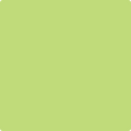 Shop the paint color 417 Feel the Energy by Benjamin Moore at Anderson Paint Company in Ann Arbor, Michigan.