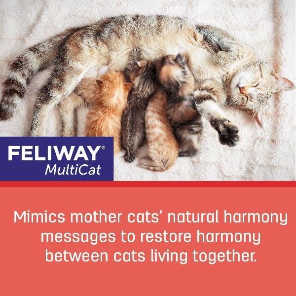Feliway Friends 30 Day Home Diffuser Starter Kit