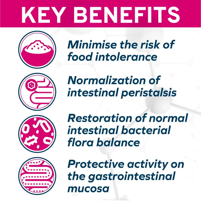 Forza10 Intestinal Active Dog