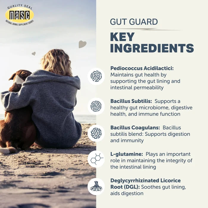 Four Leaf Rover Gut Guard  - For Dogs with Irritated, Leaky Guts 106g