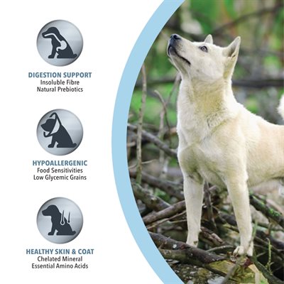 Harlow Blend 🍁Prime Lamb and Rice for Dogs