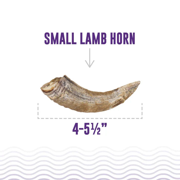 Icelandic+ Lamb Horn with Marrow Small