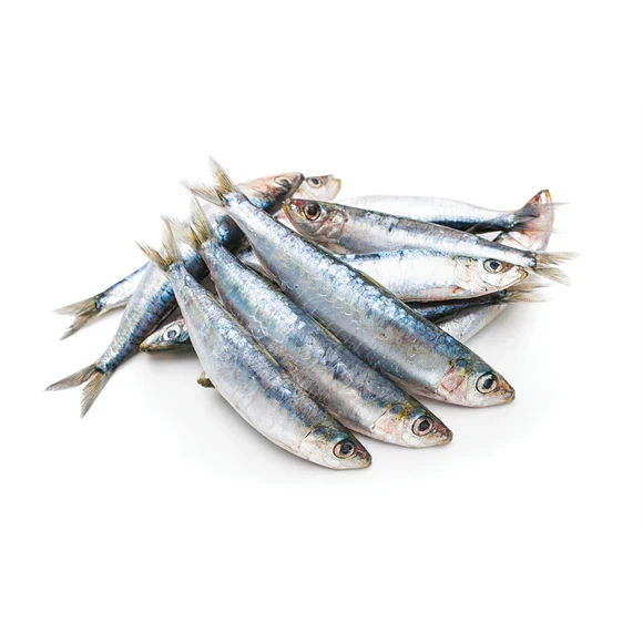 Iron Will Raw 🍁Sardines 1lb