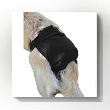 Jack & Jill 🍁Black Female Dog Diapers - Regular Fit