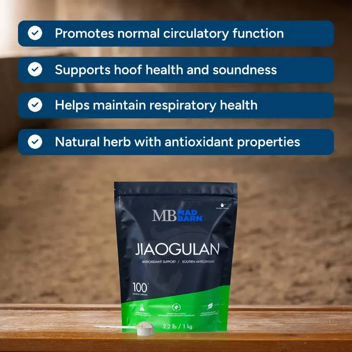 Jiaogluan - Circulation & Respiratory Support 1Kg 🍁MadBarn