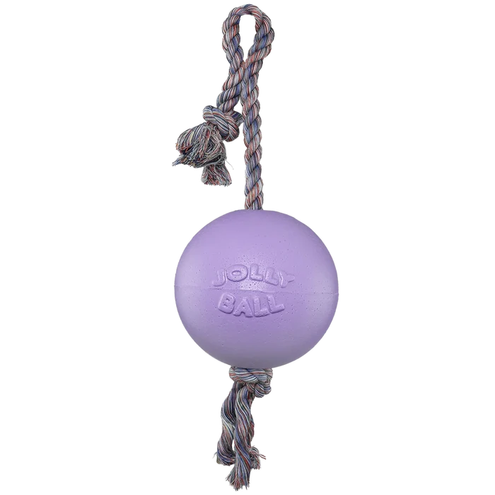 Jolly Pets Light Purple Romp-N-Roll Ball