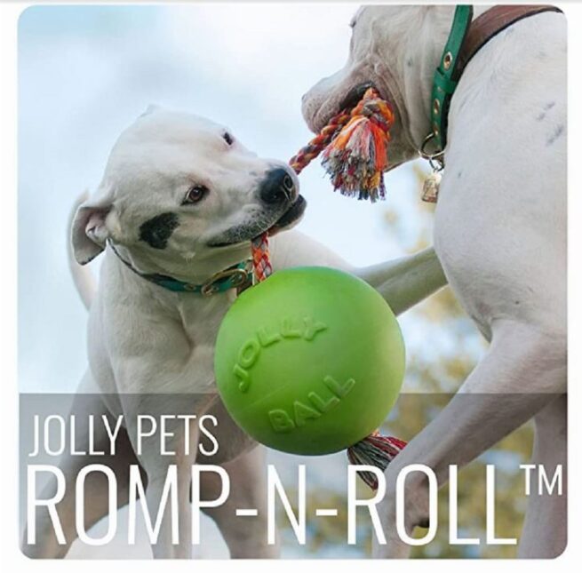 Jolly Pets Romp-n-Roll Ball Asst'd
