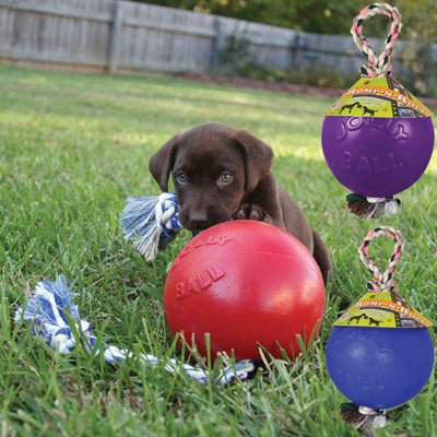 Jolly Pets Romp-n-Roll Ball Asst'd