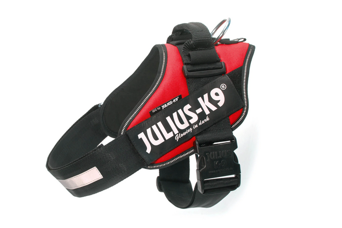 Julius K9🍁 Red IDC Power Harness