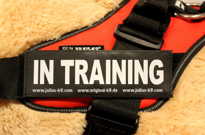 Julius K9🍁In Training Patch