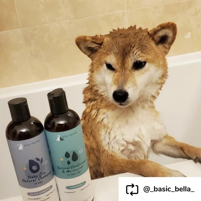 Kin+Kind Itchy Dog Shampoo - Tea Tree & Grapefruit 12oz