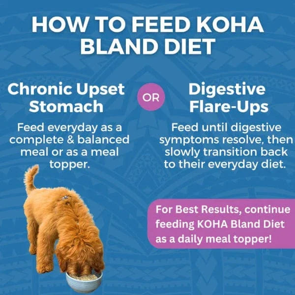KOHA Bland Diet Lamb & White Rice 12.5oz