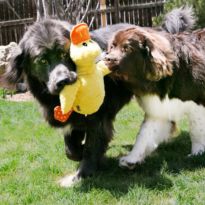 KONG Comfort Jumbo XL Ducks in Yellow or Purple
