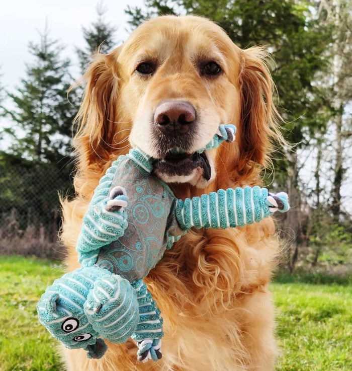 Kong Floppy Knots Hippo