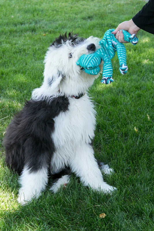 Kong Floppy Knots Hippo