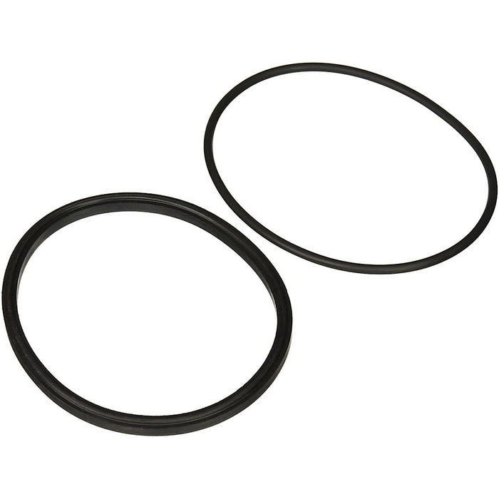 Jandy Pro Series Lid Seal & O-Ring | R0449100
